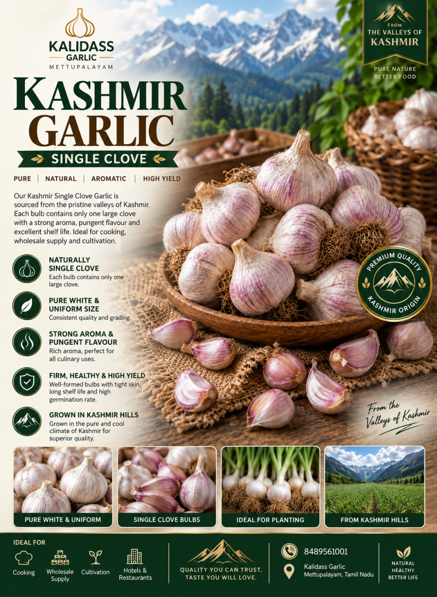 KASHMIR MULTI CLOVE GARLIC 